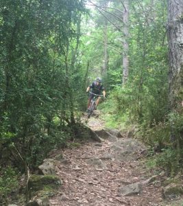 Bicicleta MTB en fiscal